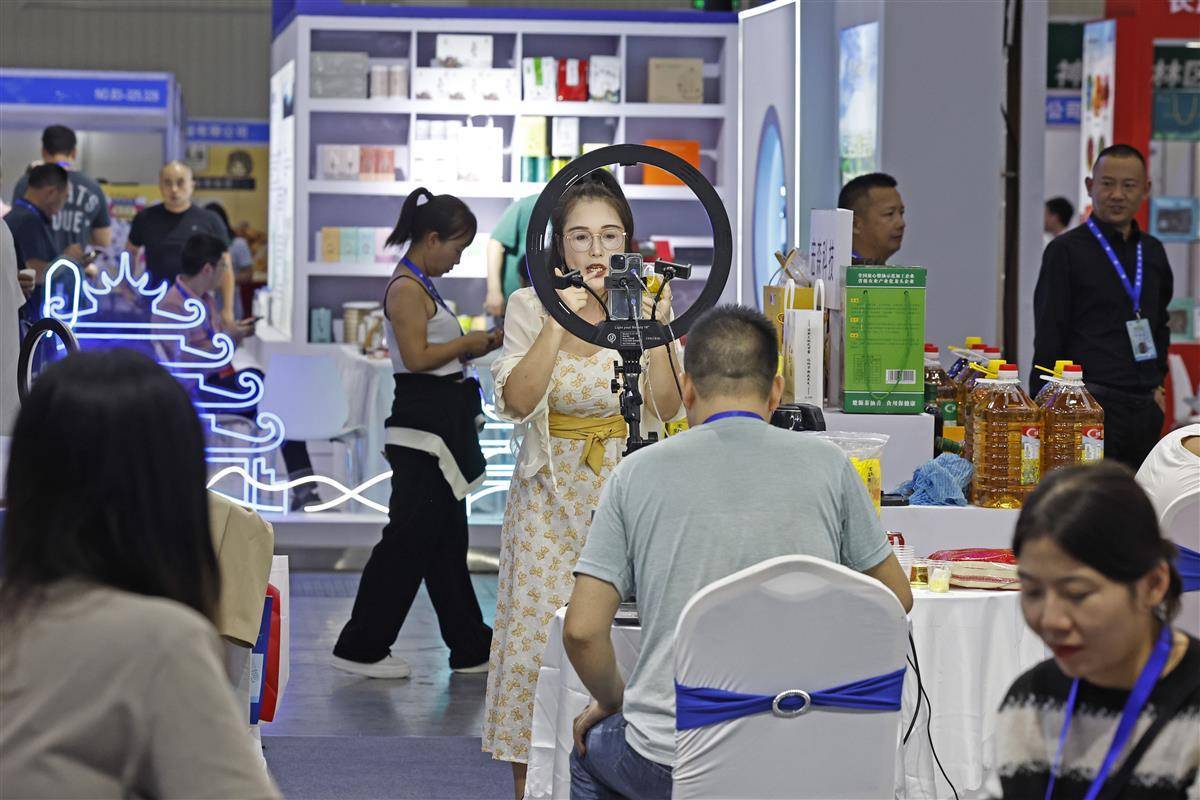 彩金白菜网