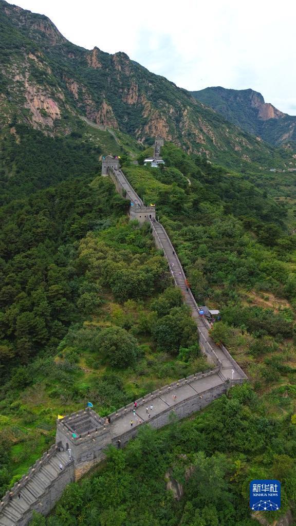 大富豪游戏